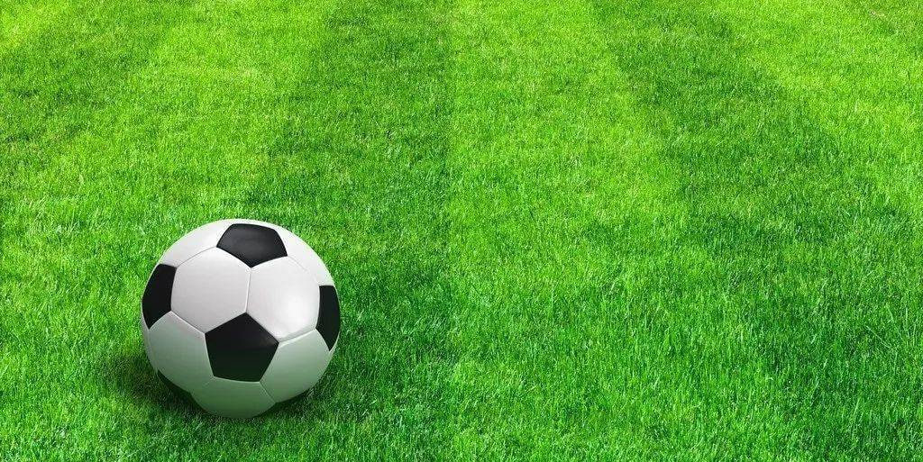 今日足球赛程查询界面展示